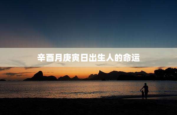 辛酉月庚寅日出生人的命运