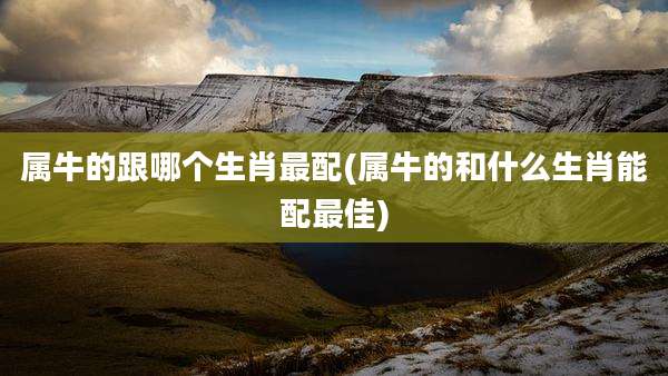 属牛的跟哪个生肖最配(属牛的和什么生肖能配最佳)