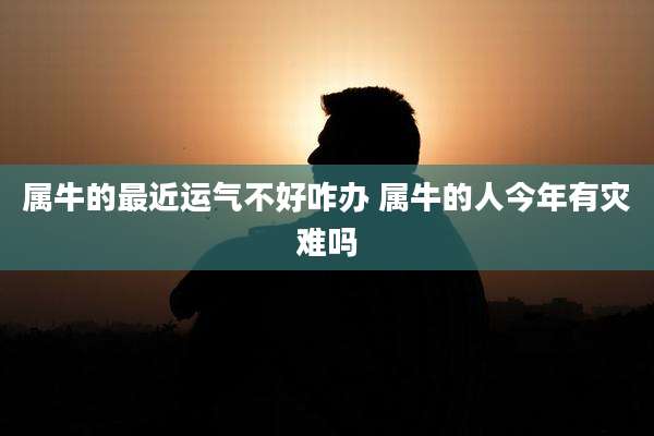 属牛的最近运气不好咋办 属牛的人今年有灾难吗