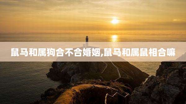 鼠马和属狗合不合婚姻,鼠马和属鼠相合嘛