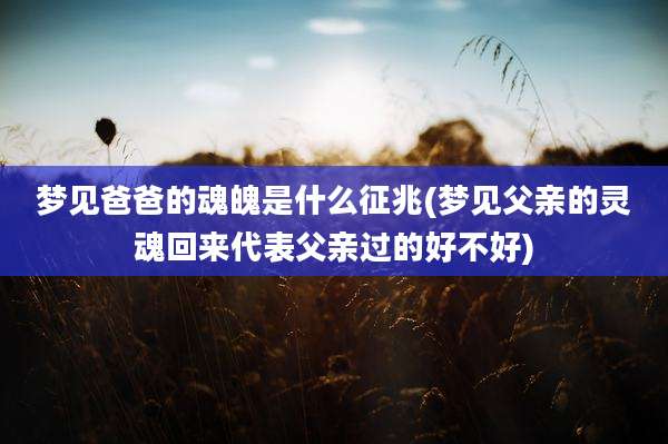 梦见爸爸的魂魄是什么征兆(梦见父亲的灵魂回来代表父亲过的好不好)