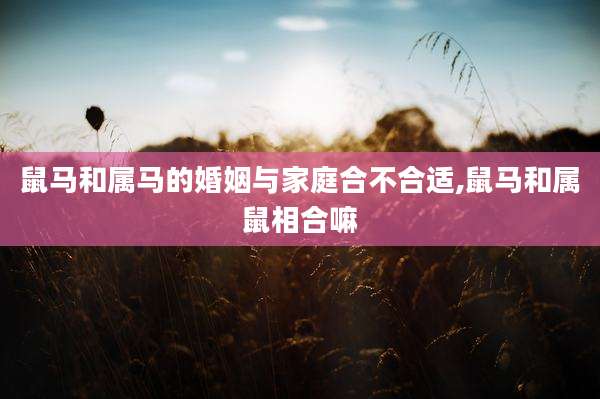 鼠马和属马的婚姻与家庭合不合适,鼠马和属鼠相合嘛