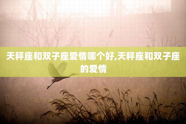 天秤座和双子座爱情哪个好,天秤座和双子座的爱情