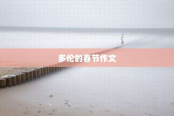 多伦的春节作文
