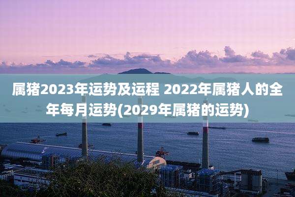 属猪2023年运势及运程 2022年属猪人的全年每月运势(2029年属猪的运势)