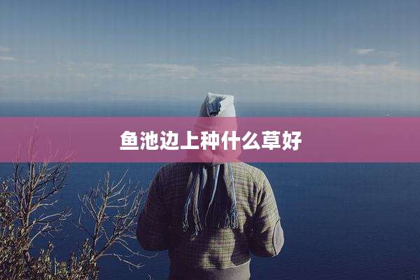 鱼池边上种什么草好