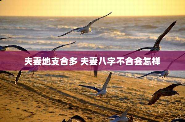 夫妻地支合多 夫妻八字不合会怎样