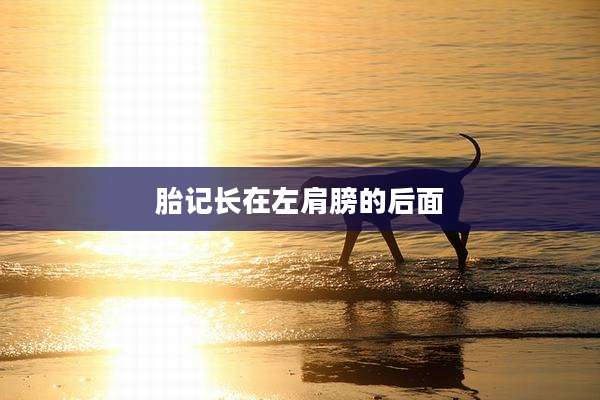 胎记长在左肩膀的后面
