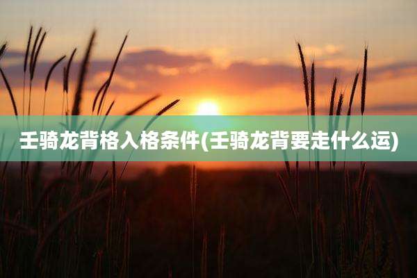 壬骑龙背格入格条件(壬骑龙背要走什么运)