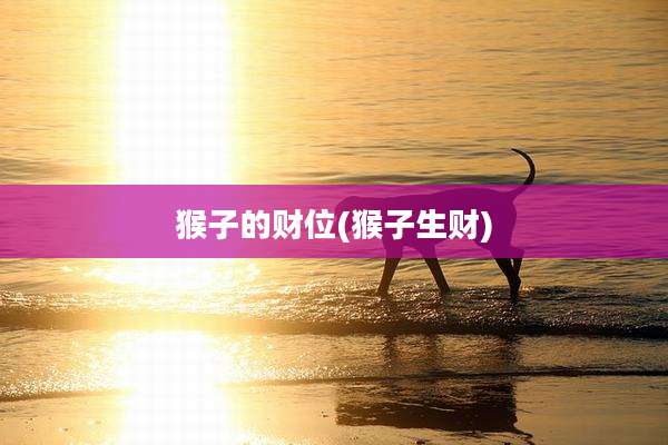 猴子的财位(猴子生财)