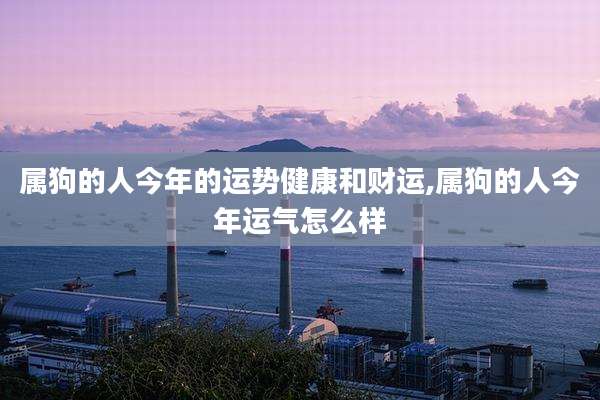属狗的人今年的运势健康和财运,属狗的人今年运气怎么样