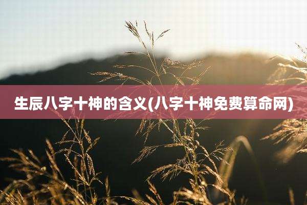 生辰八字十神的含义(八字十神免费算命网)