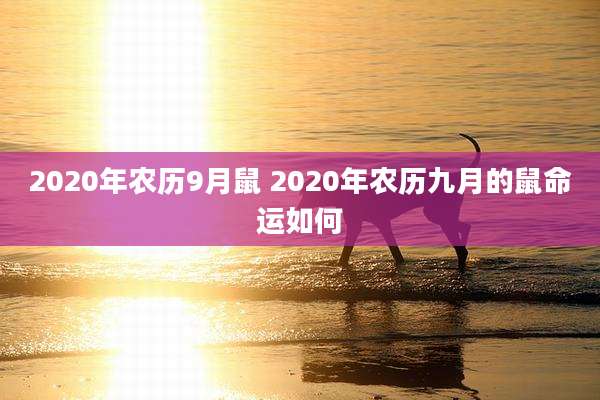 2020年农历9月鼠 2020年农历九月的鼠命运如何