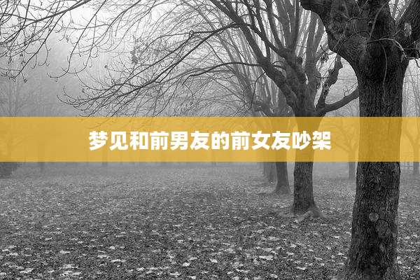 梦见和前男友的前女友吵架