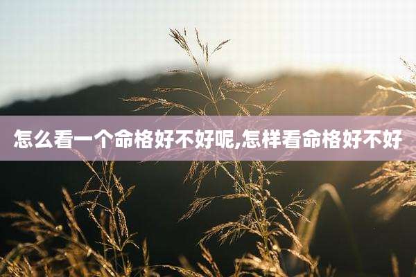 怎么看一个命格好不好呢,怎样看命格好不好