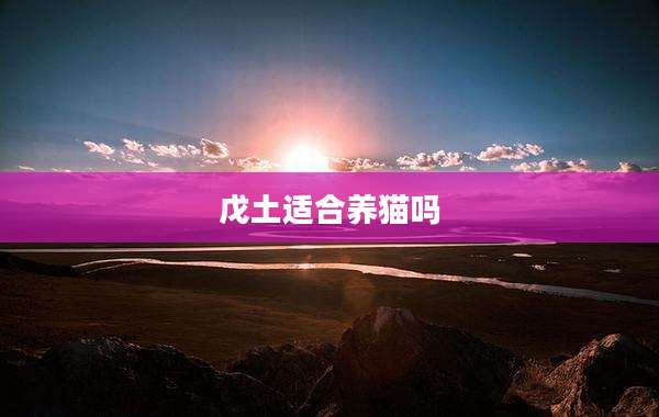 戊土适合养猫吗