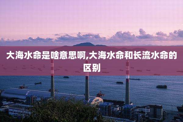 大海水命是啥意思啊,大海水命和长流水命的区别