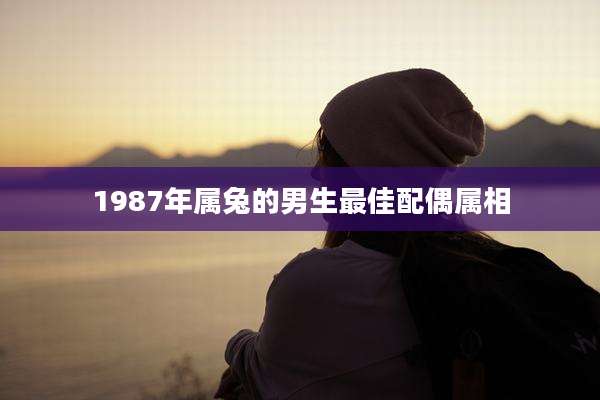 1987年属兔的男生最佳配偶属相