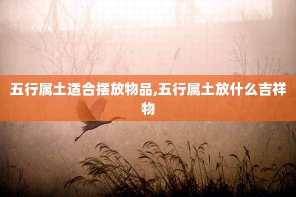 五行属土适合摆放物品,五行属土放什么吉祥物