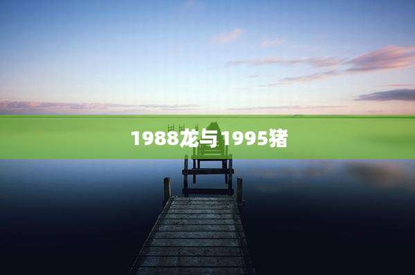 1988龙与1995猪