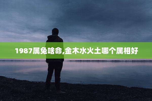 1987属兔啥命,金木水火土哪个属相好