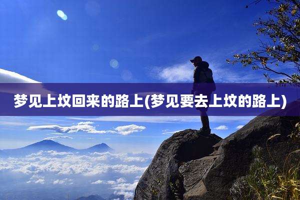 梦见上坟回来的路上(梦见要去上坟的路上)