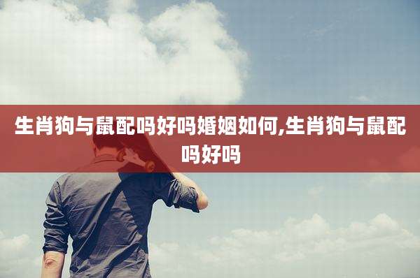 生肖狗与鼠配吗好吗婚姻如何,生肖狗与鼠配吗好吗