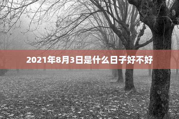 2021年8月3日是什么日子好不好