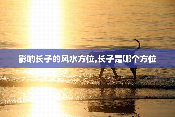 影响长子的风水方位,长子是哪个方位