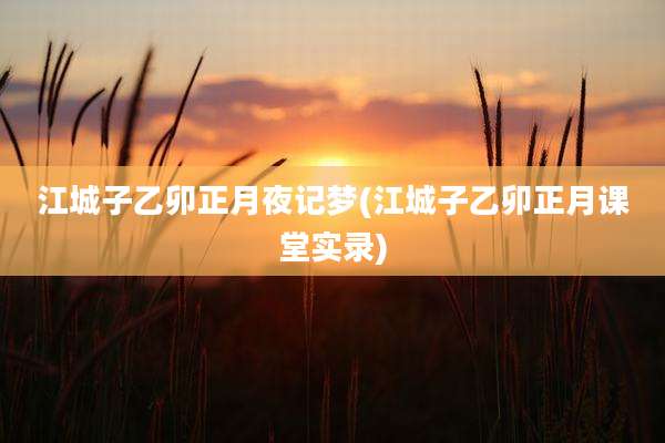 江城子乙卯正月夜记梦(江城子乙卯正月课堂实录)