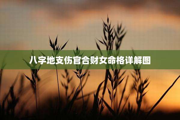 八字地支伤官合财女命格详解图