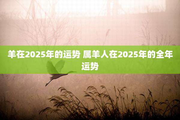 羊在2025年的运势 属羊人在2025年的全年运势