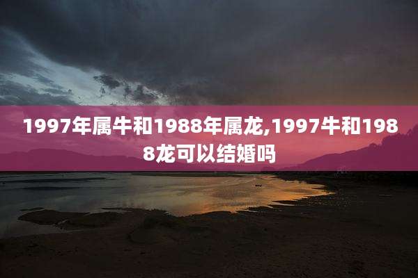 1997年属牛和1988年属龙,1997牛和1988龙可以结婚吗