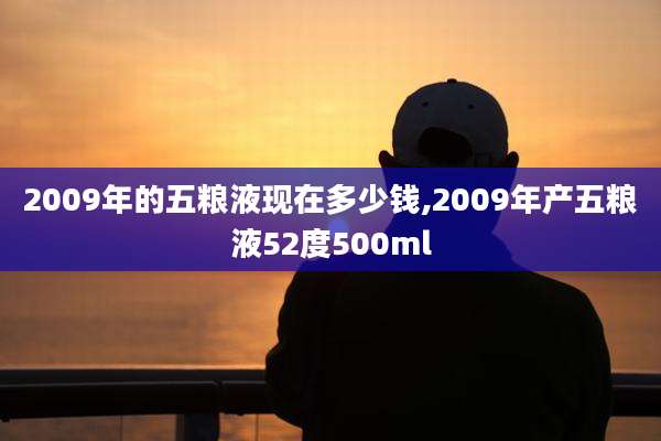 2009年的五粮液现在多少钱,2009年产五粮液52度500ml