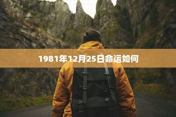 1981年12月25日命运如何