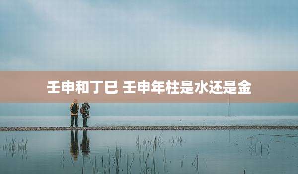 壬申和丁巳 壬申年柱是水还是金