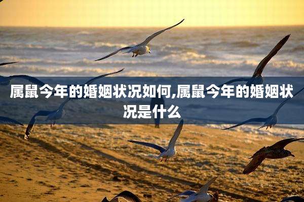 属鼠今年的婚姻状况如何,属鼠今年的婚姻状况是什么