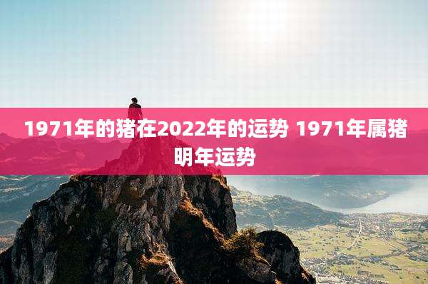 1971年的猪在2022年的运势 1971年属猪明年运势