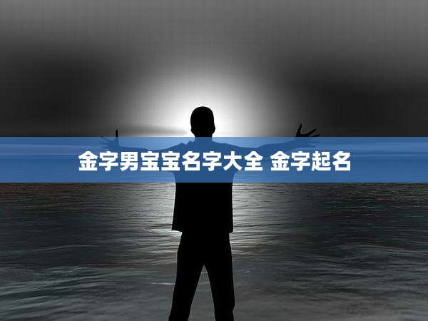 金字男宝宝名字大全 金字起名