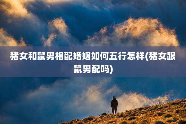 猪女和鼠男相配婚姻如何五行怎样(猪女跟鼠男配吗)