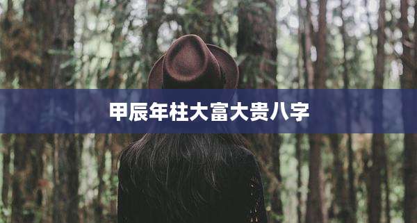 甲辰年柱大富大贵八字