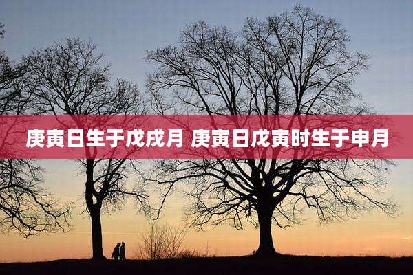 庚寅日生于戊戌月 庚寅日戊寅时生于申月