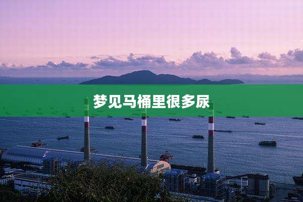 梦见马桶里很多尿