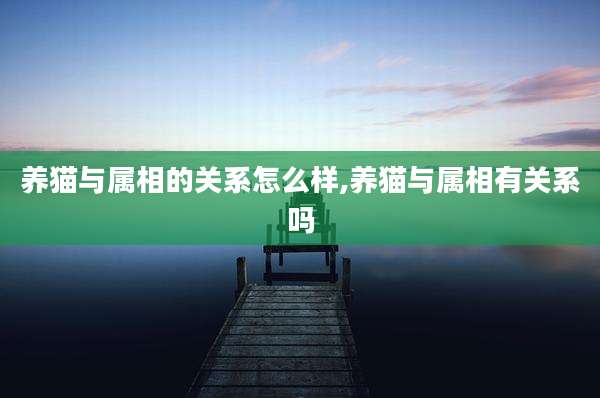 养猫与属相的关系怎么样,养猫与属相有关系吗