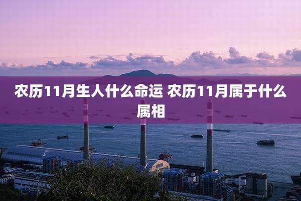 农历11月生人什么命运 农历11月属于什么属相