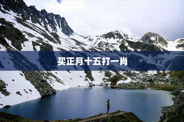 买正月十五打一肖