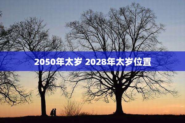 2050年太岁 2028年太岁位置