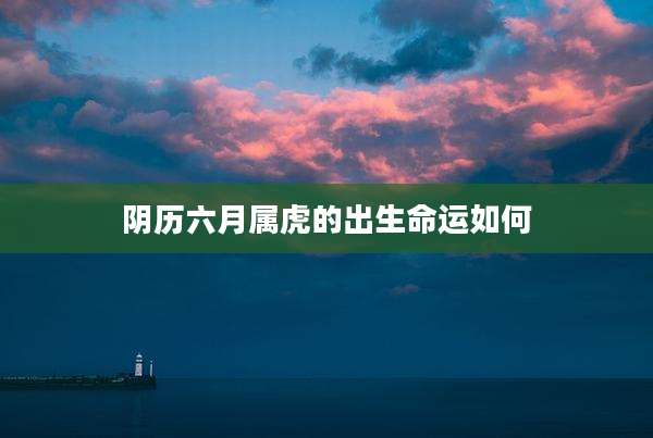 阴历六月属虎的出生命运如何