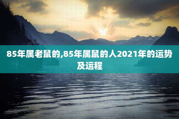 85年属老鼠的,85年属鼠的人2021年的运势及运程