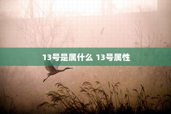 13号是属什么 13号属性